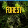 THE FOREST PS4 1 The Forest