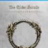 The Elder Scrolls Online PS4 1
